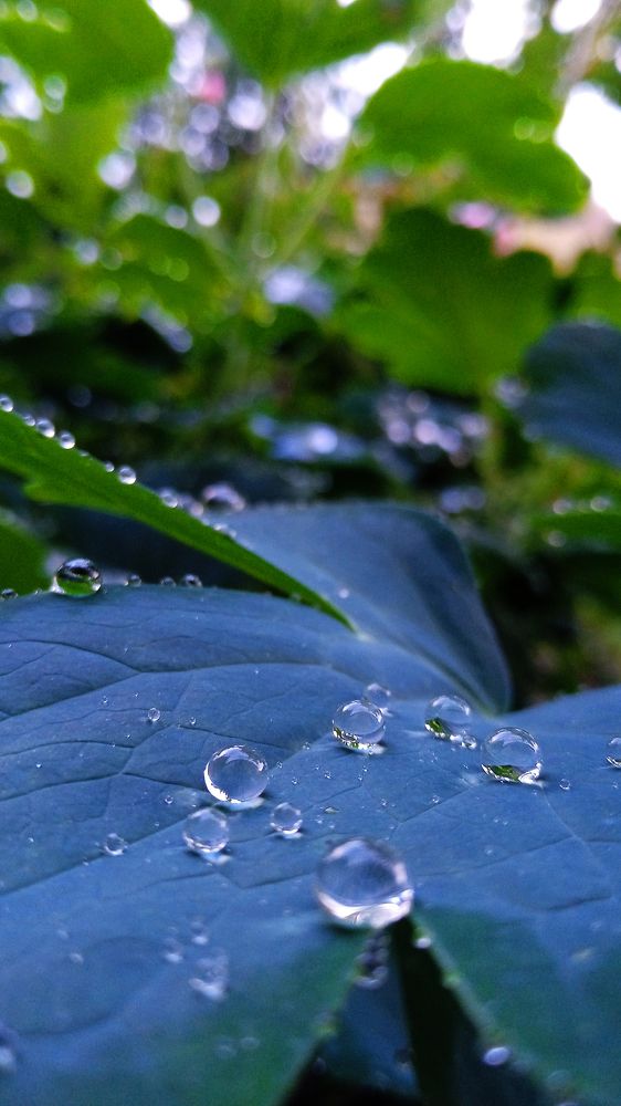 Photograph by Екатерина Щербина