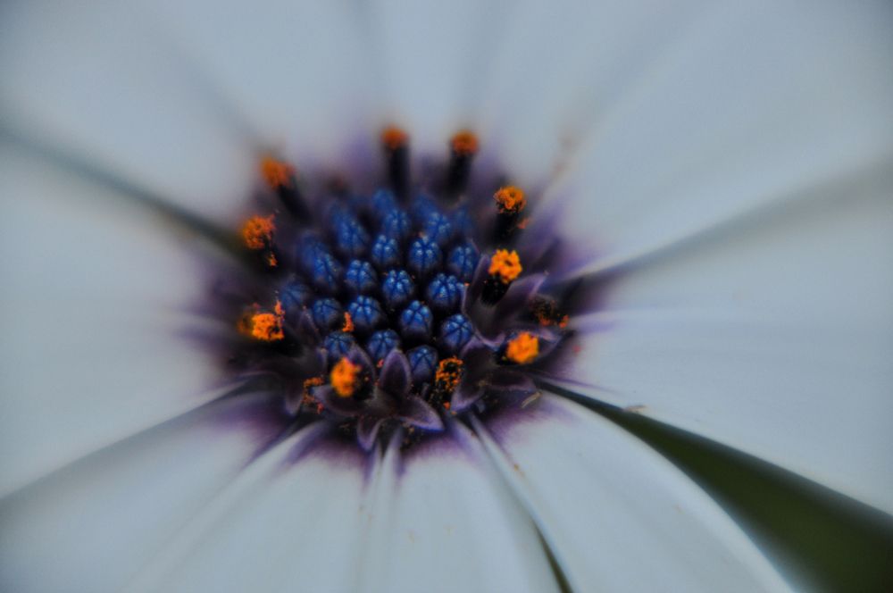 Photograph by Юлия Козельских