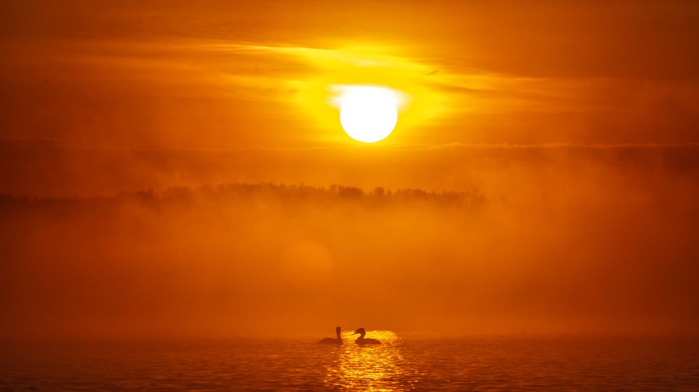 Photograph by Таипов Ильгиз