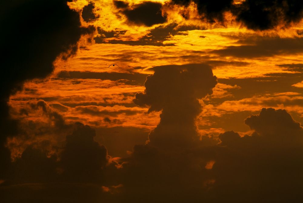 Фотография автора Михаил Кабанов