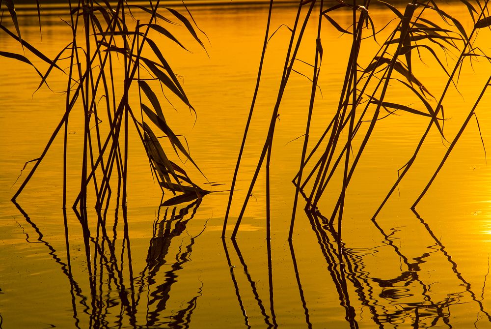 Фотография автора Михаил Кабанов