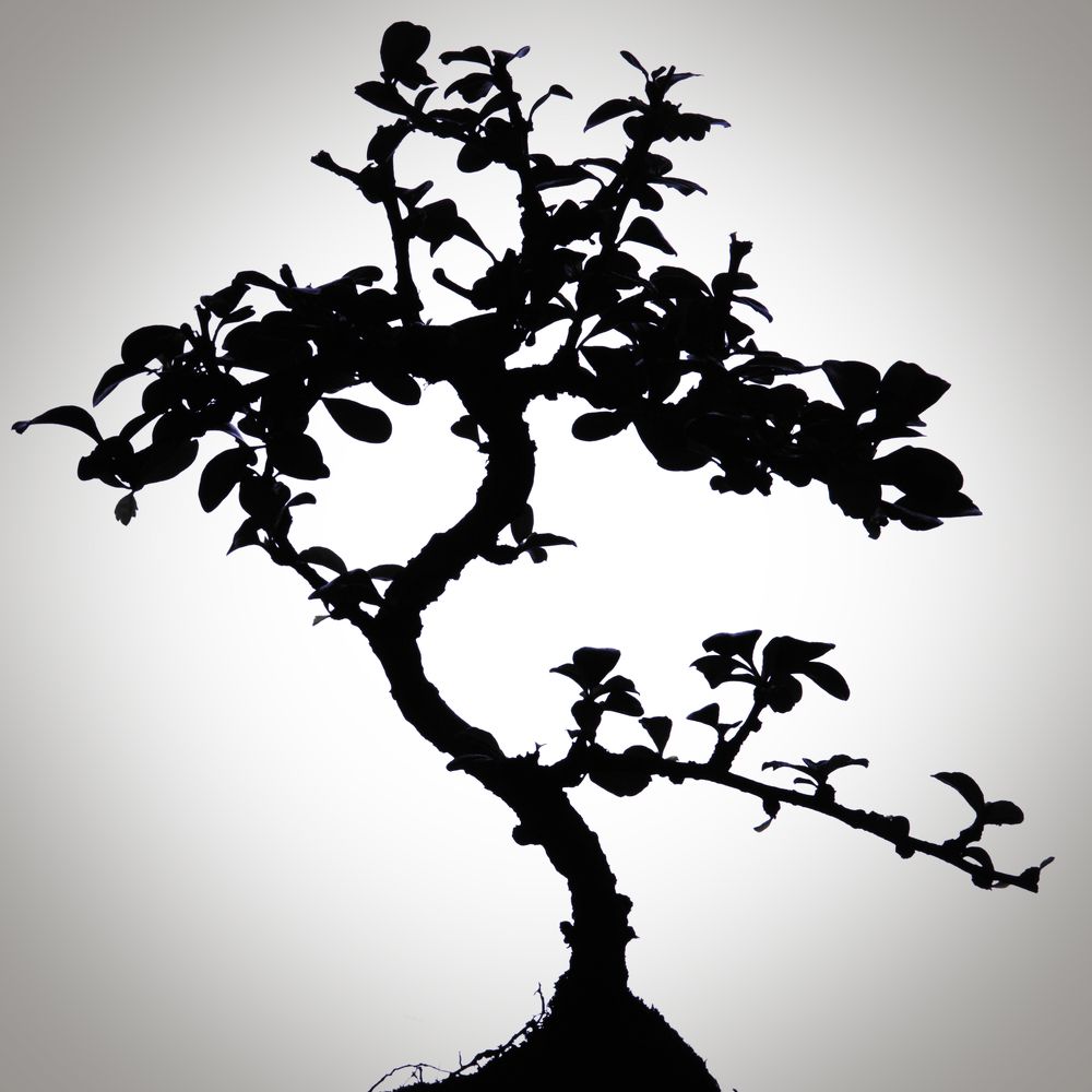 Photograph by Aleksandr Belov