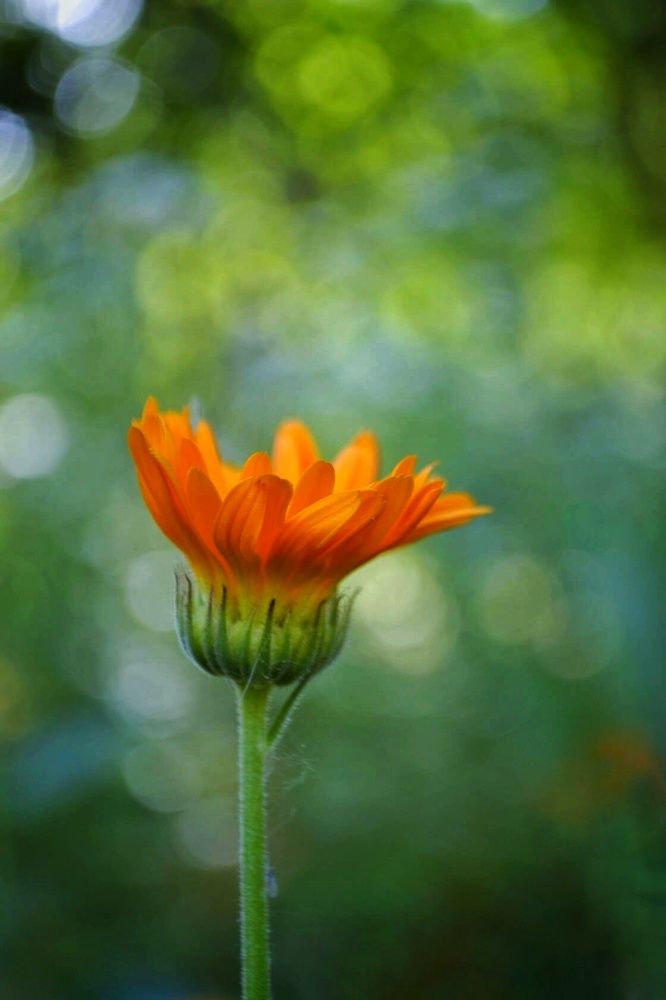 Photograph by Светлана Мазурова