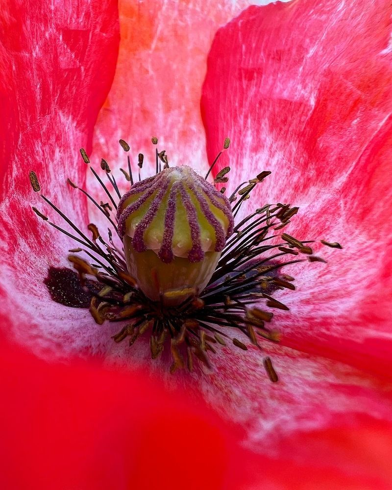 Photograph by Татьяна Волохова