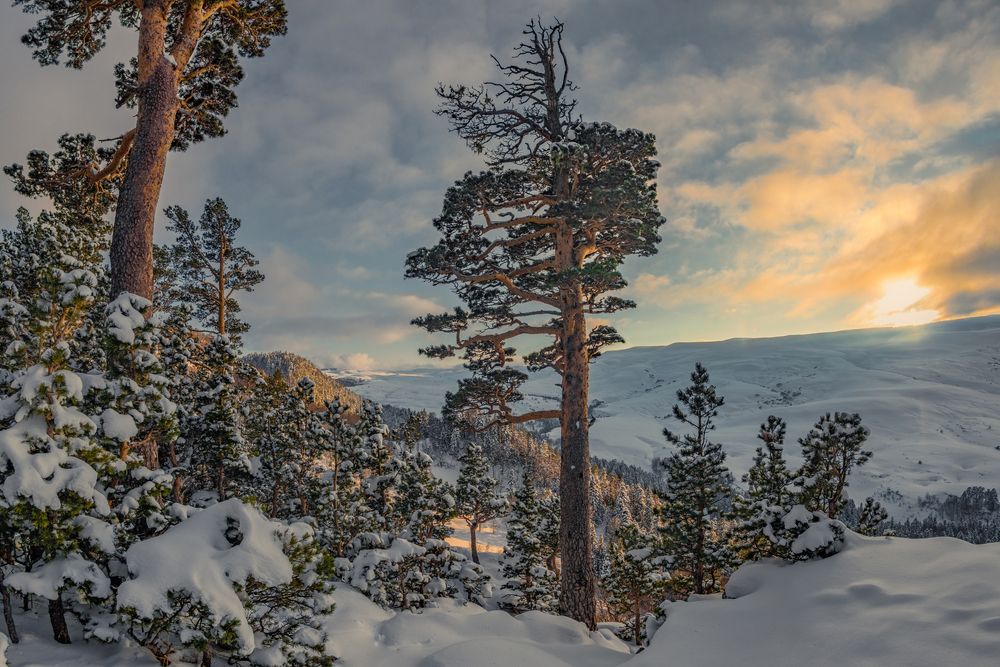 Photograph by Anatoly