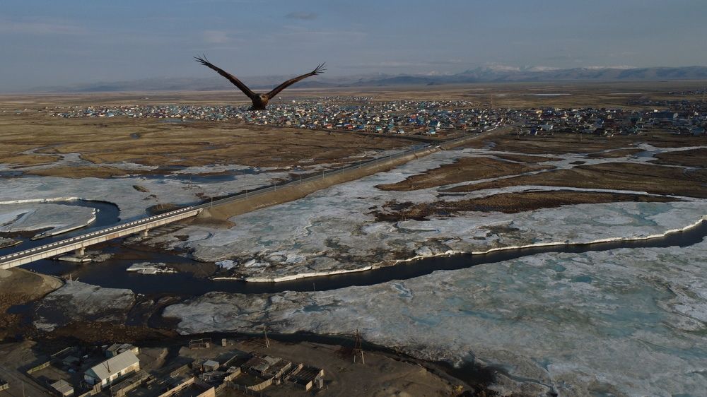 Фотография автора Elena Gasay