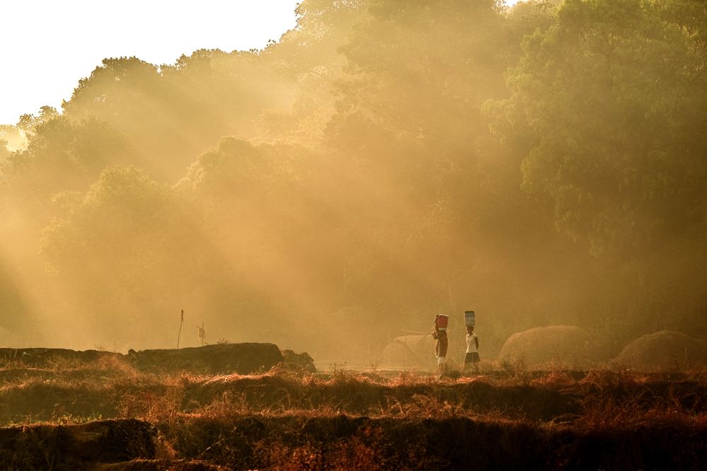 Photograph by Rohan Fernandes