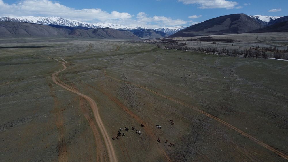 Фотография автора Elena Gasay