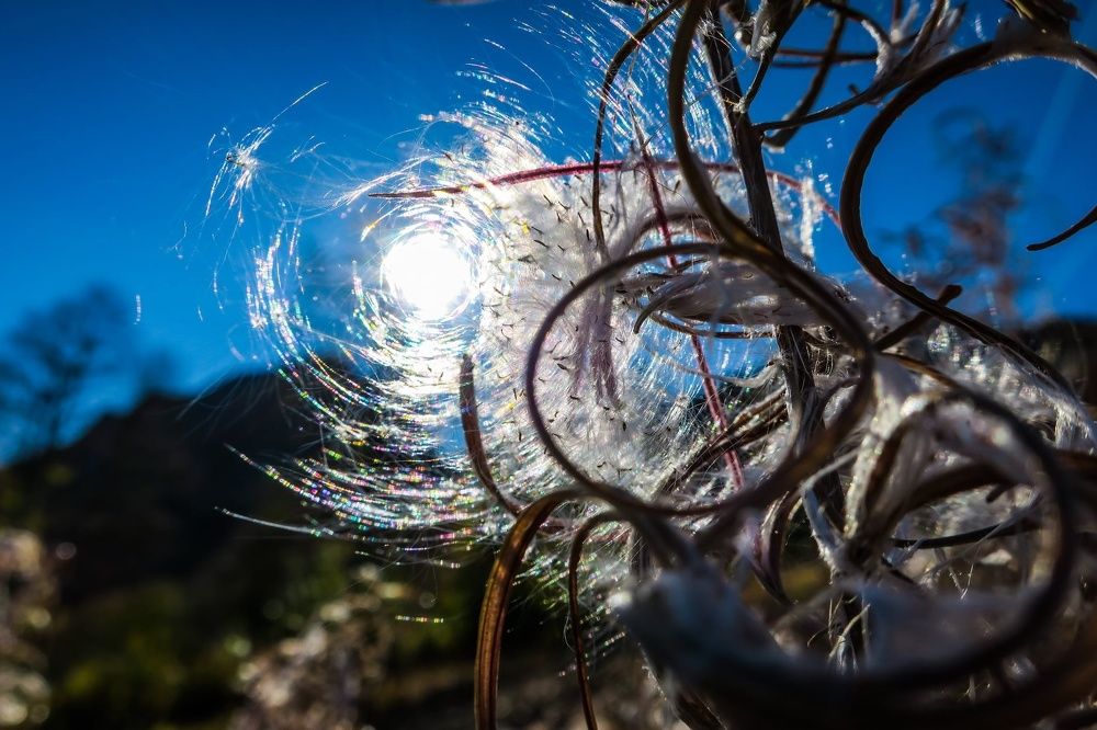 Photograph by Макс Панков