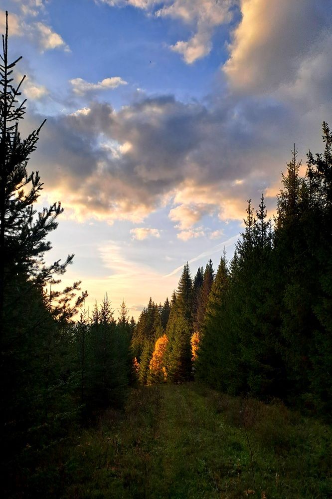 Photograph by Николай Худяков