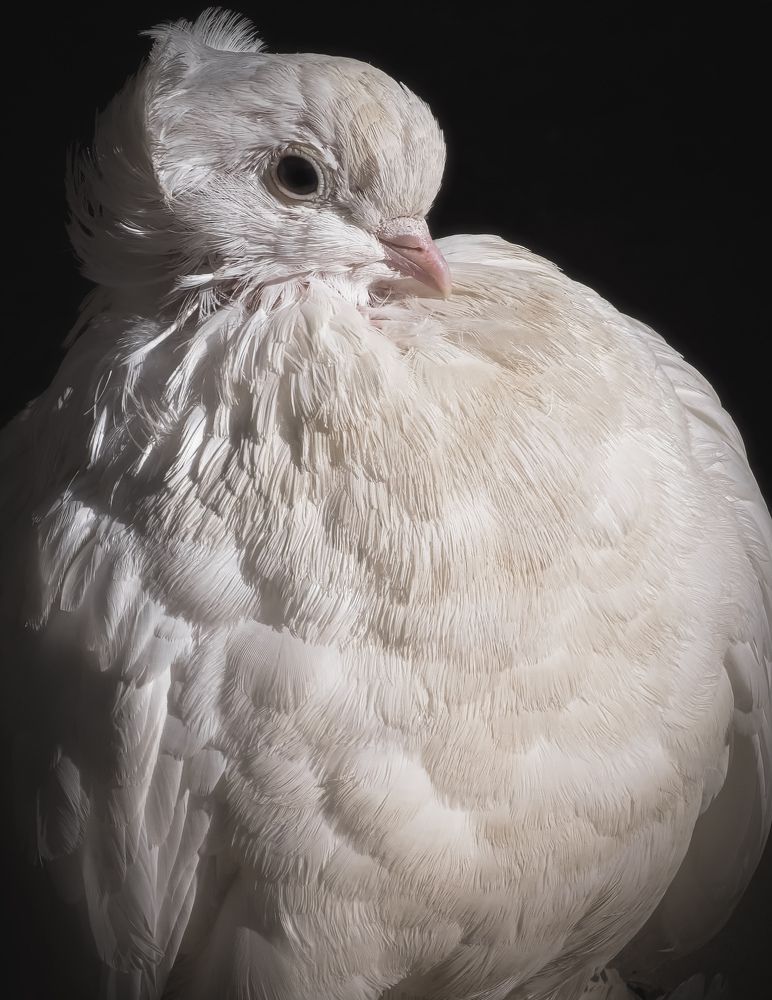 Photograph by Konstantin Martynov