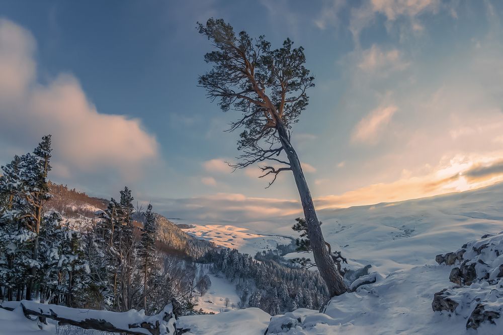 Photograph by Anatoly