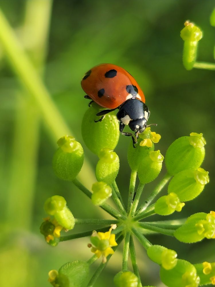 Фотография автора Ольга