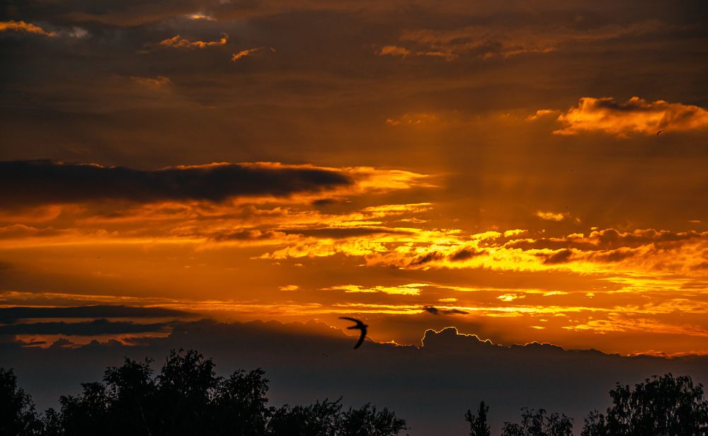 Photograph by Юрий Киреичев