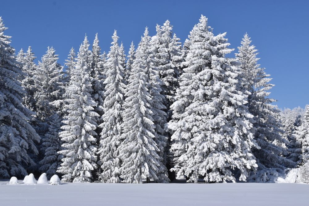 Photograph by Elena Lopatina