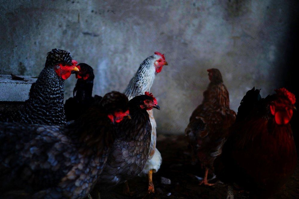 Photograph by Янина Найденцева