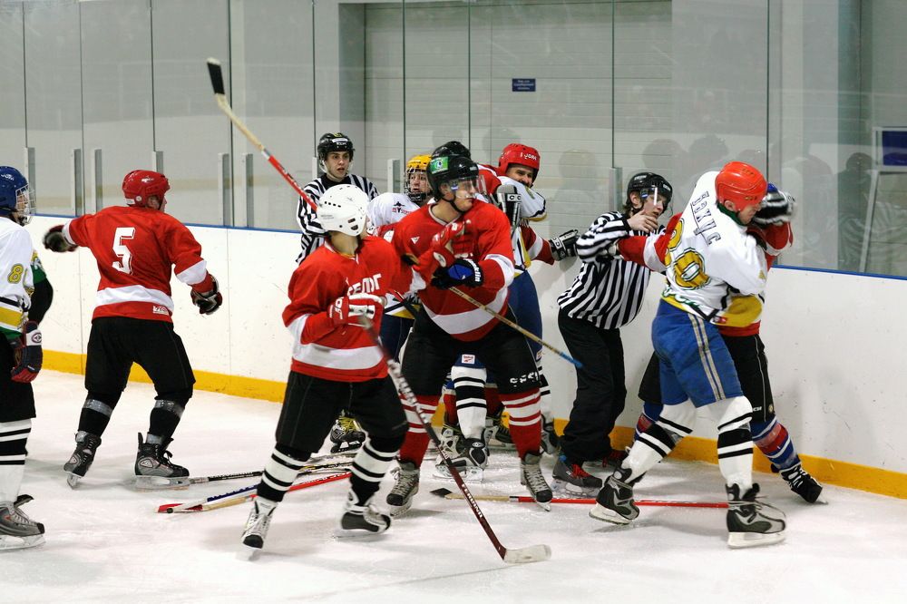 Такой хоккей нам не нужен...