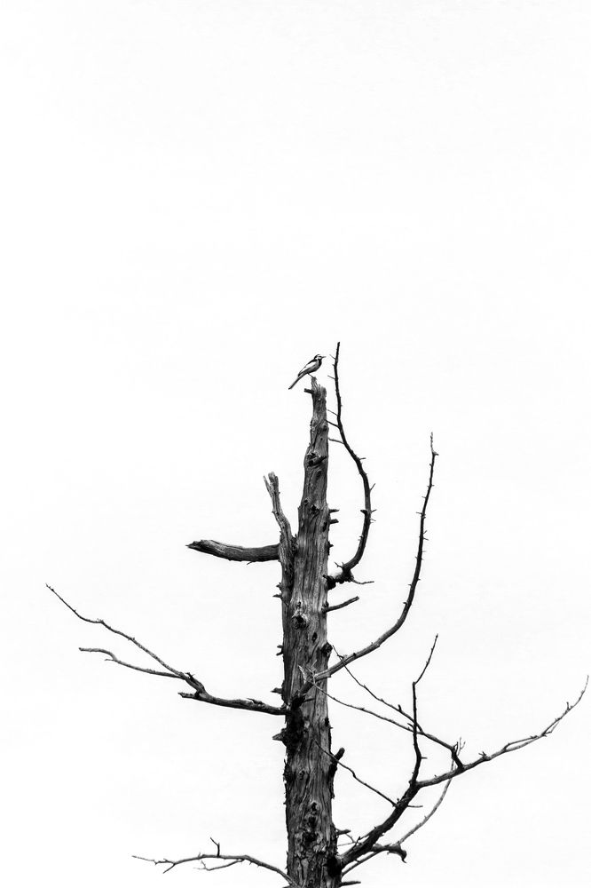 Photograph by Alena Poklonskaia