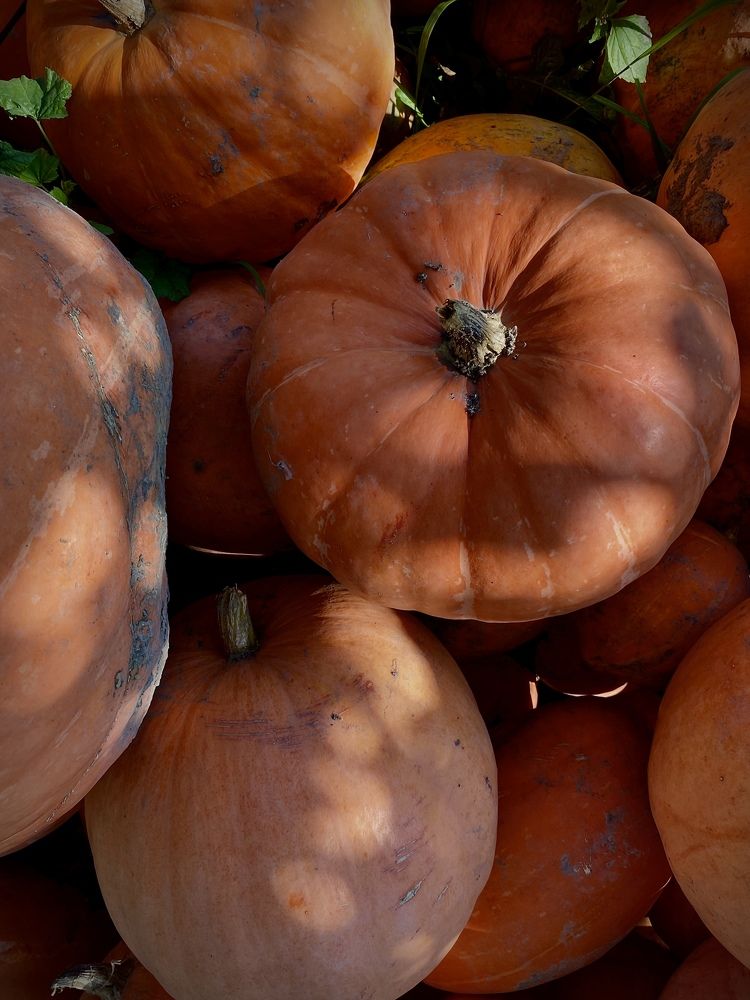 Photograph by Ольга Жаркова