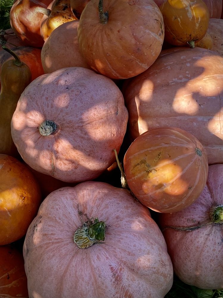 Photograph by Ольга Жаркова