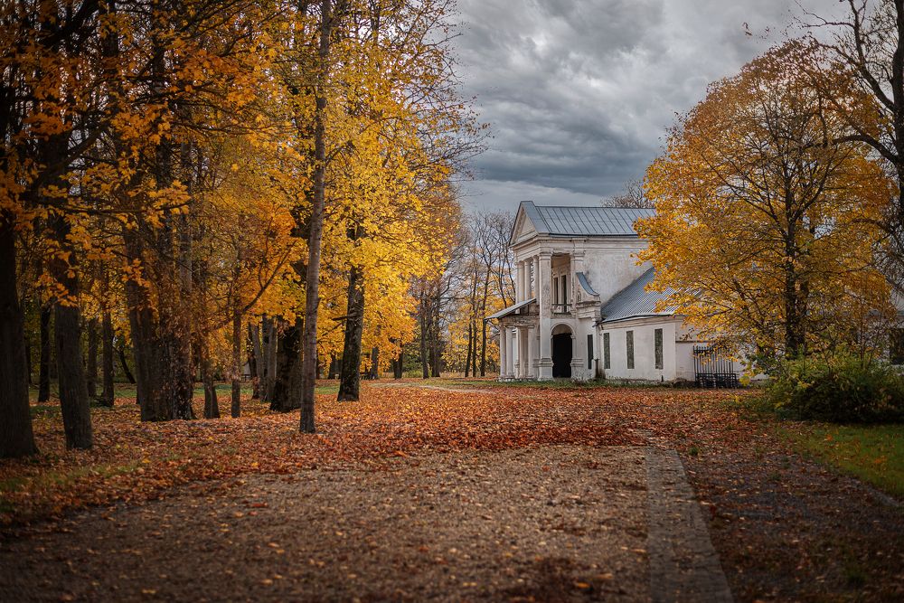 Photograph by Мария Купревич