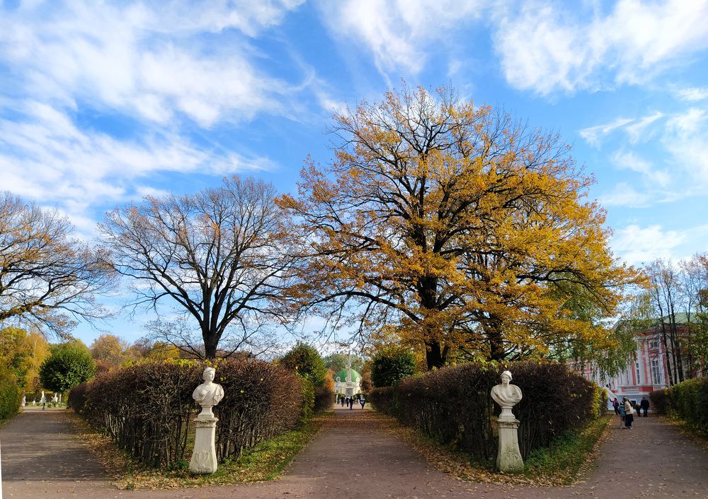 Photograph by Ольга Стоун