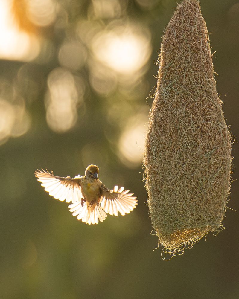 Фотография автора Anandhu M