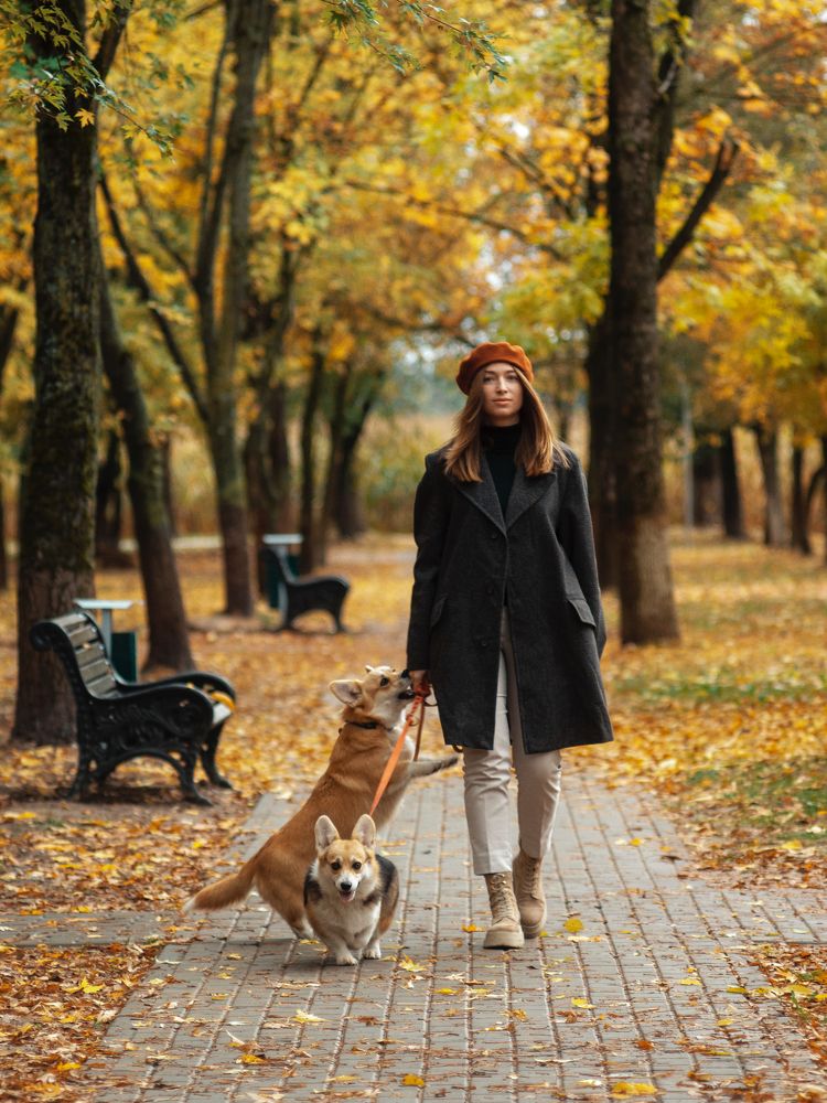 Photograph by Парахневич Виктория