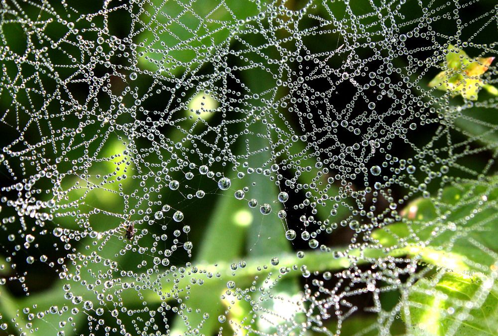 Фотография автора Наталья Белова