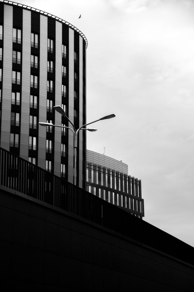 Фотография автора Гомолко Мария