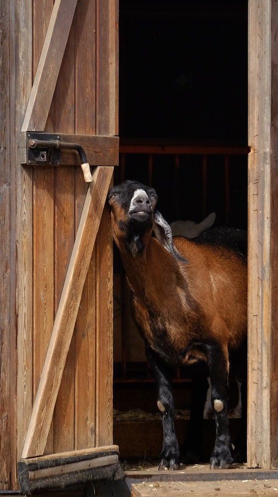 Photograph by Лариса Андреева