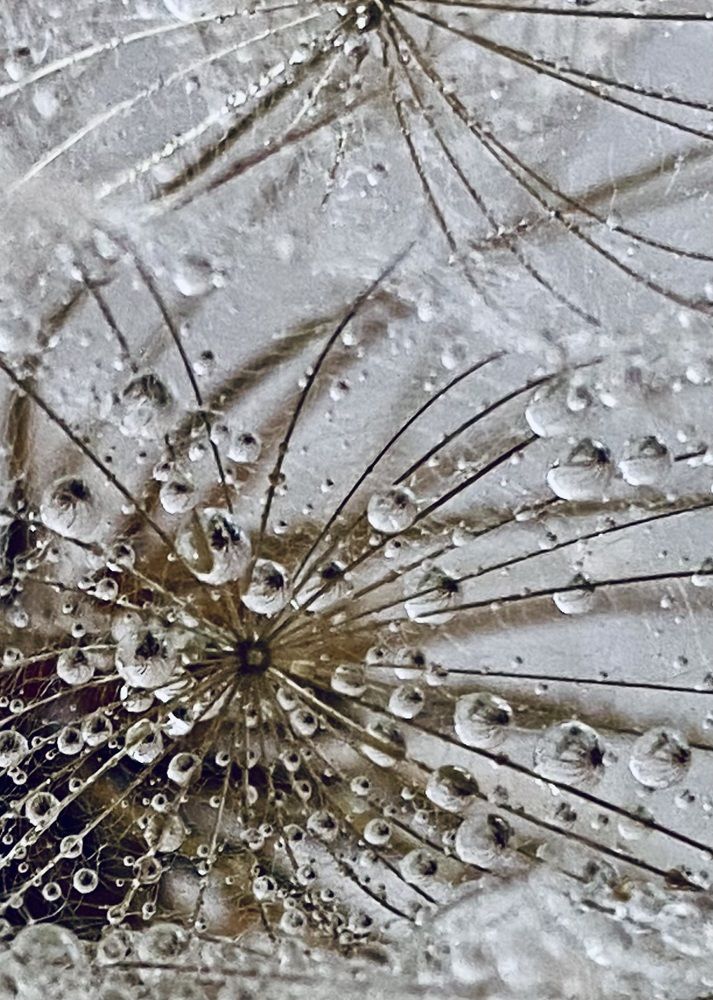 Фотография автора ГУЗАЛИЯ ГАНИЕВА