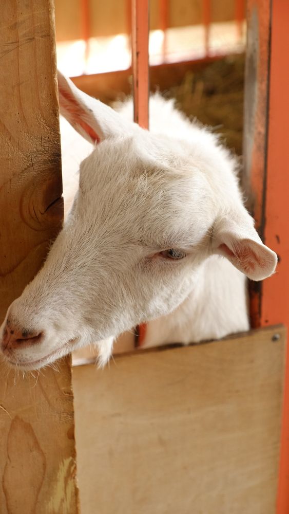 Photograph by Лариса Андреева