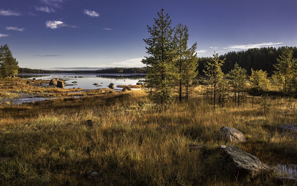 Photograph by Владимир Остапенко