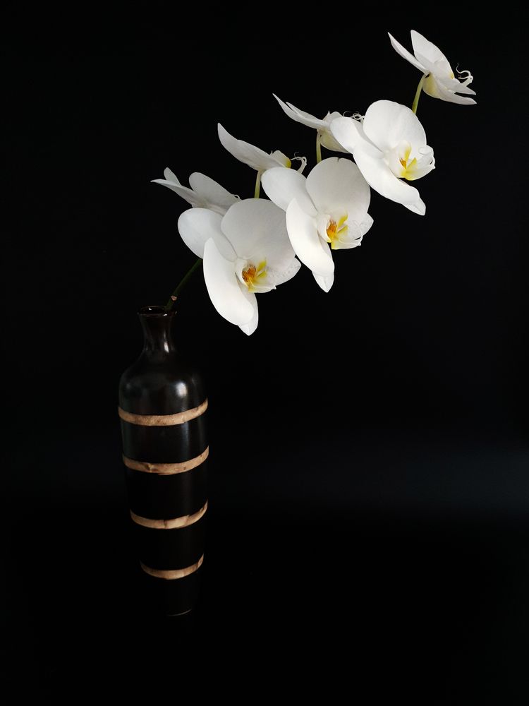 Photograph by Irina Chuprina