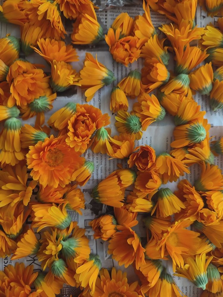 Photograph by Владимир Заборонок