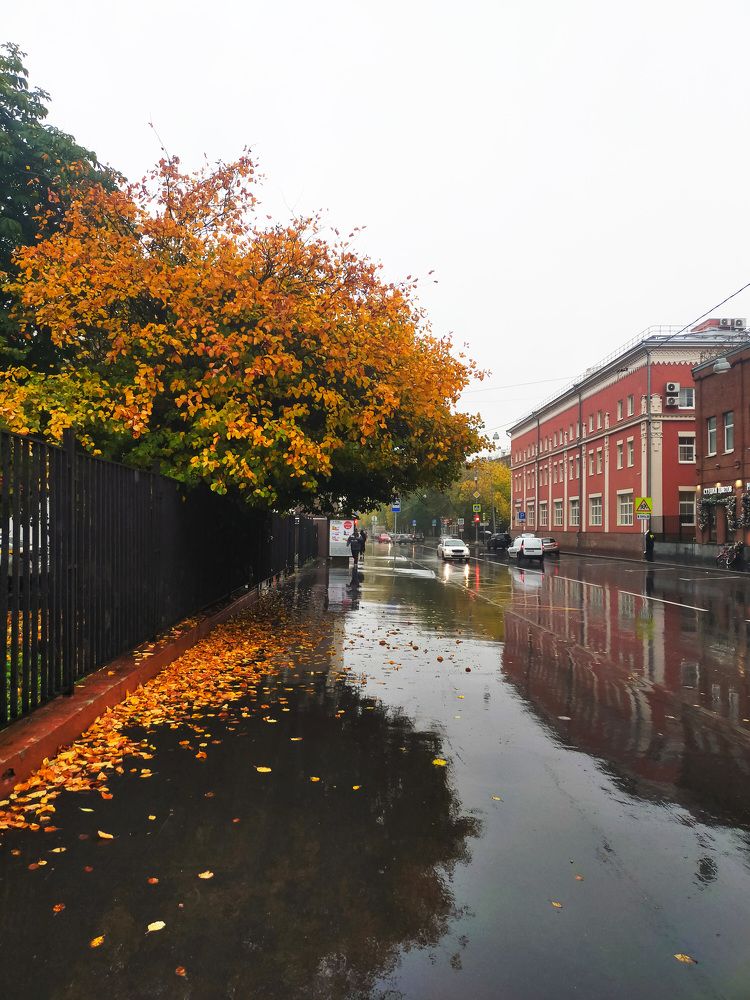 Photograph by Бамблевская Любовь Игоревна