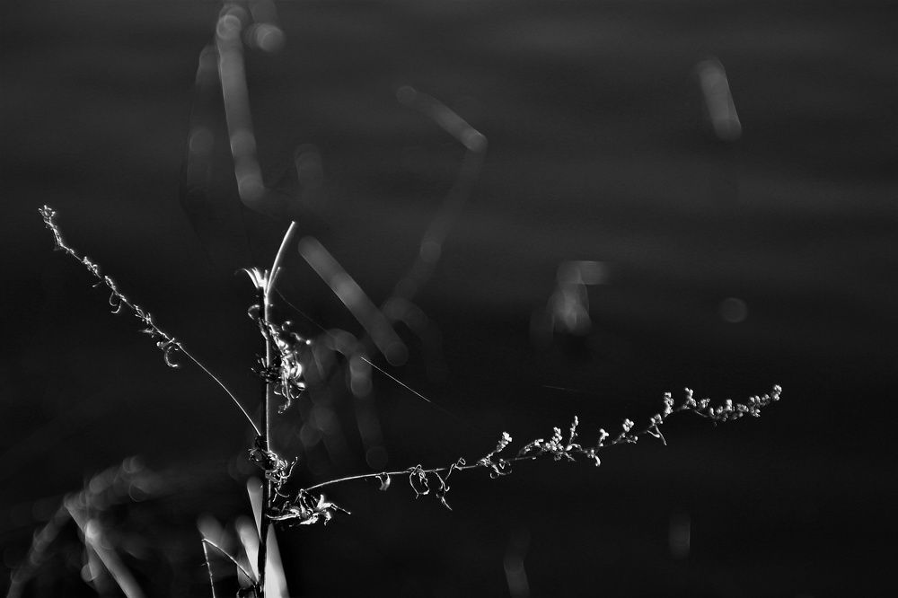 Photograph by Марина Игнатьева