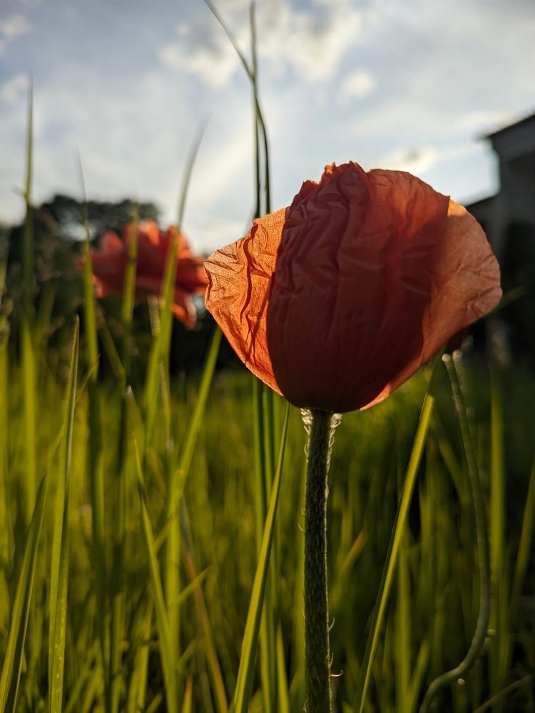 Photograph by Владимир Заборонок