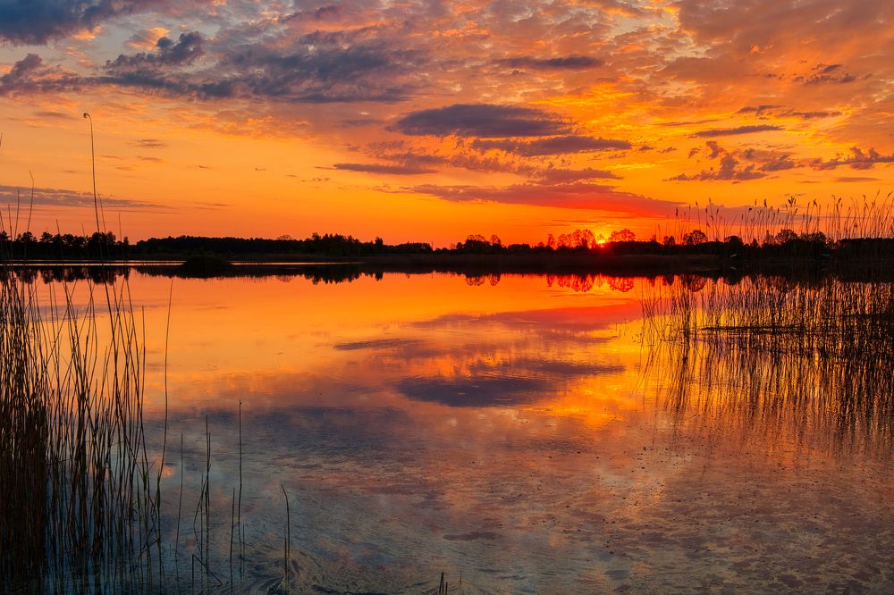 Photograph by Janis Serdienis