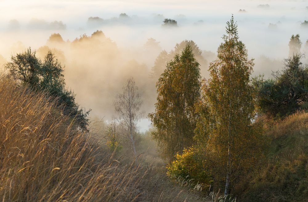 Photograph by Дмитрий Новоселов