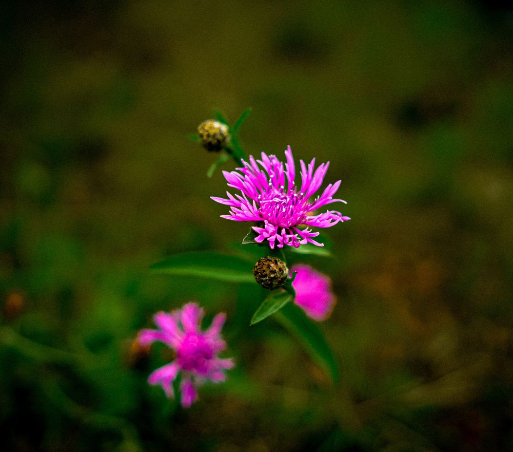Photograph by Олег Бесенев