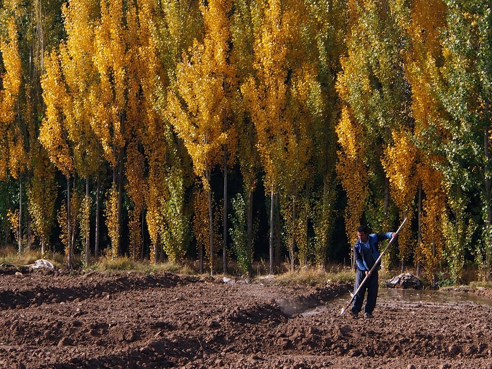 Photograph by Farid Ataei