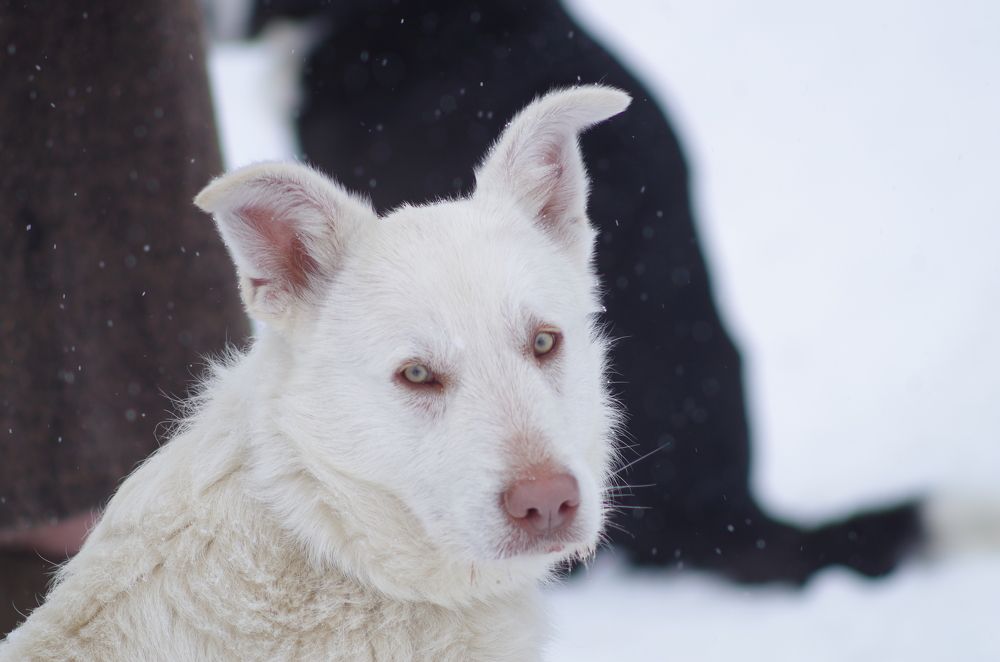 Photograph by Иван Матвеев