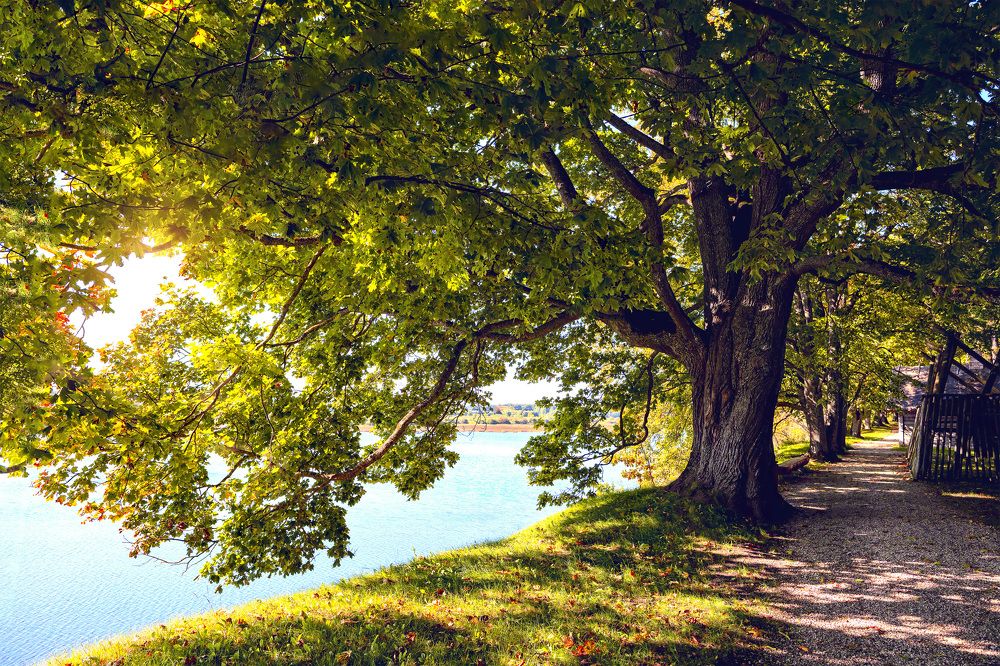 вид на века