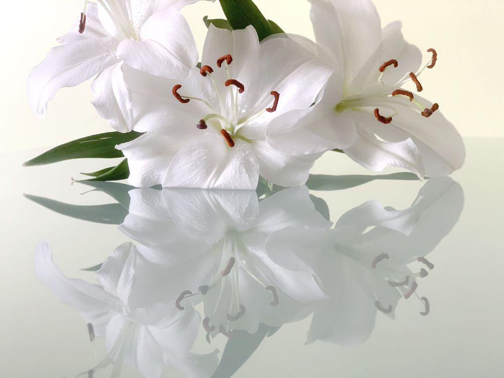 Photograph by Liliana Grup