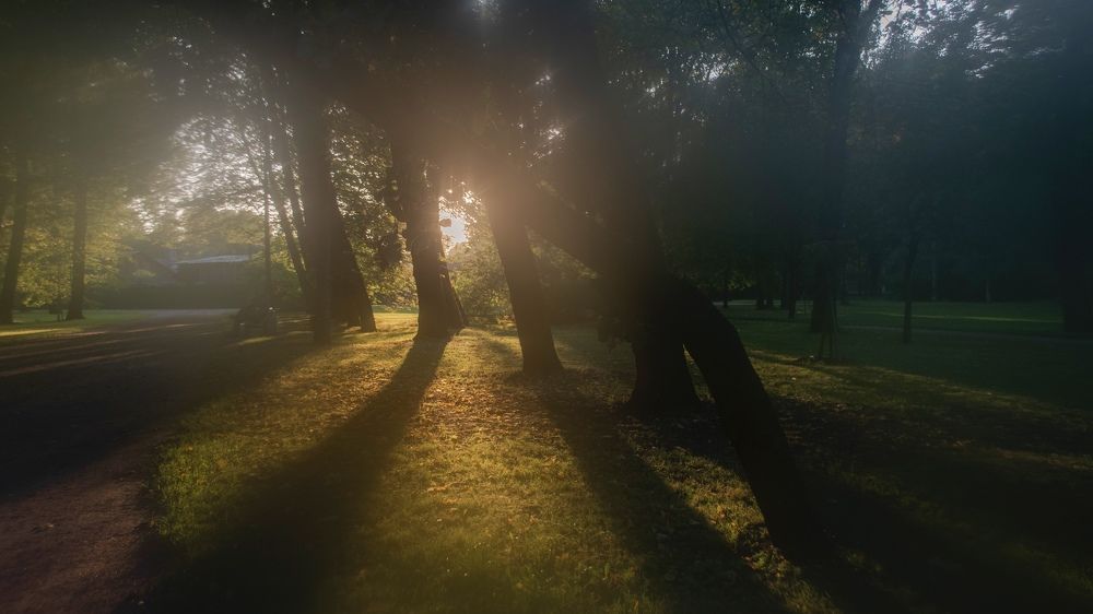 Photograph by Александра Сумарокова