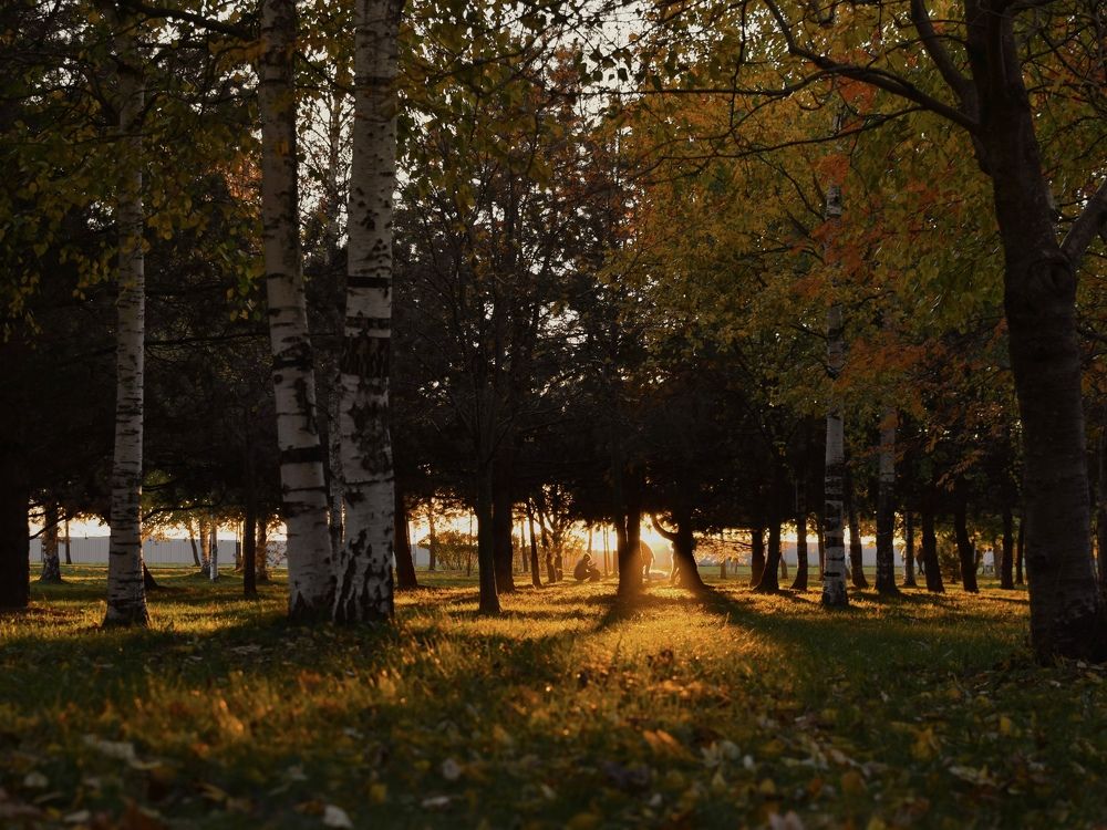 Photograph by Александра Сумарокова