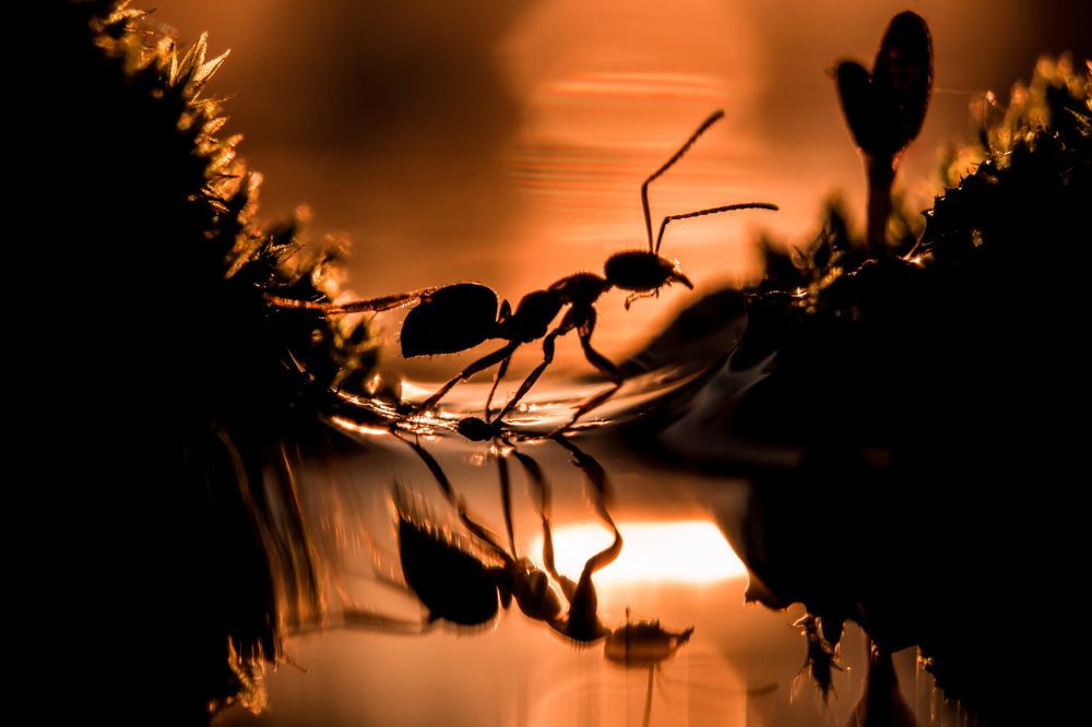 Photograph by Алёна Газукина