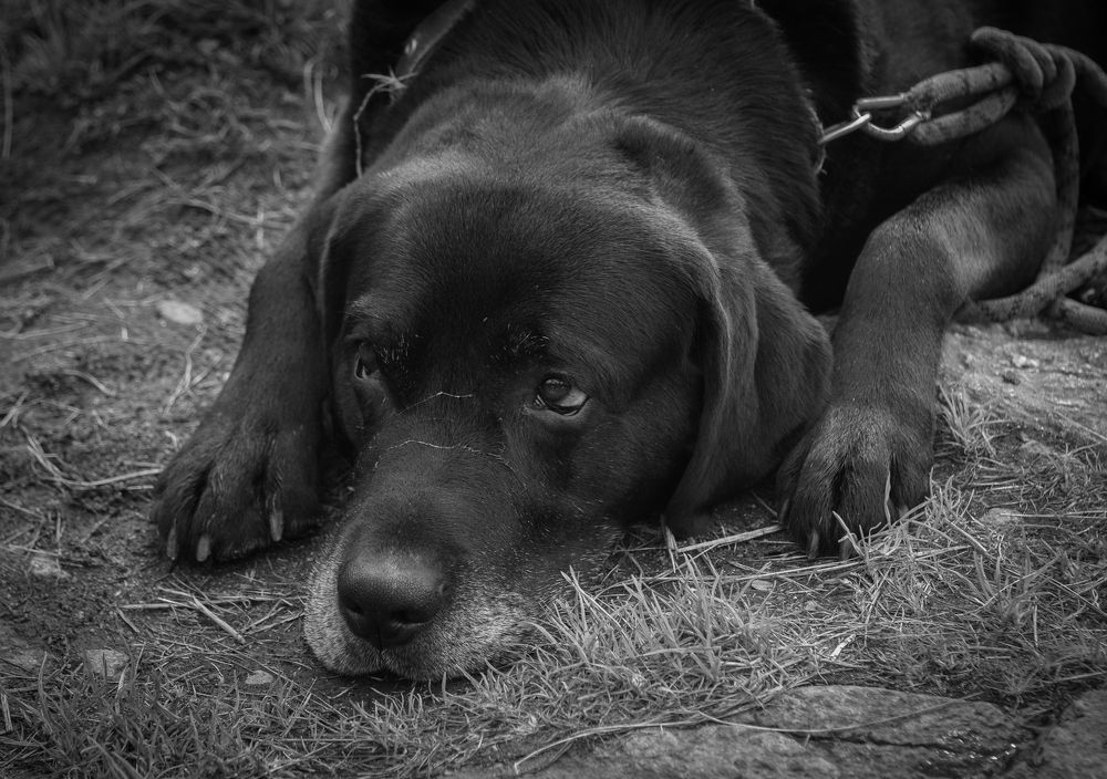 Photograph by Виктор Рыков